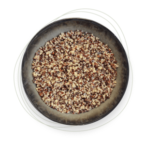 Quinoa tricolor Origen100x100